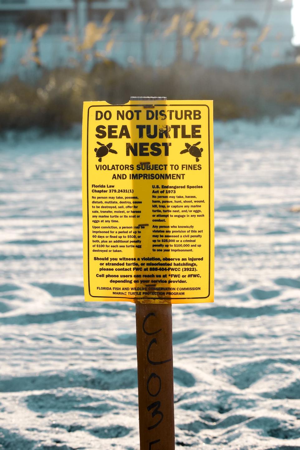 Sea turtle Nest signage near white sand